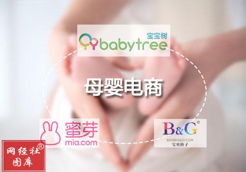 姣嶅┐鐢靛晢gmv (娣卞害瑙ｆ瀽姣嶅┐鐢靛晢)