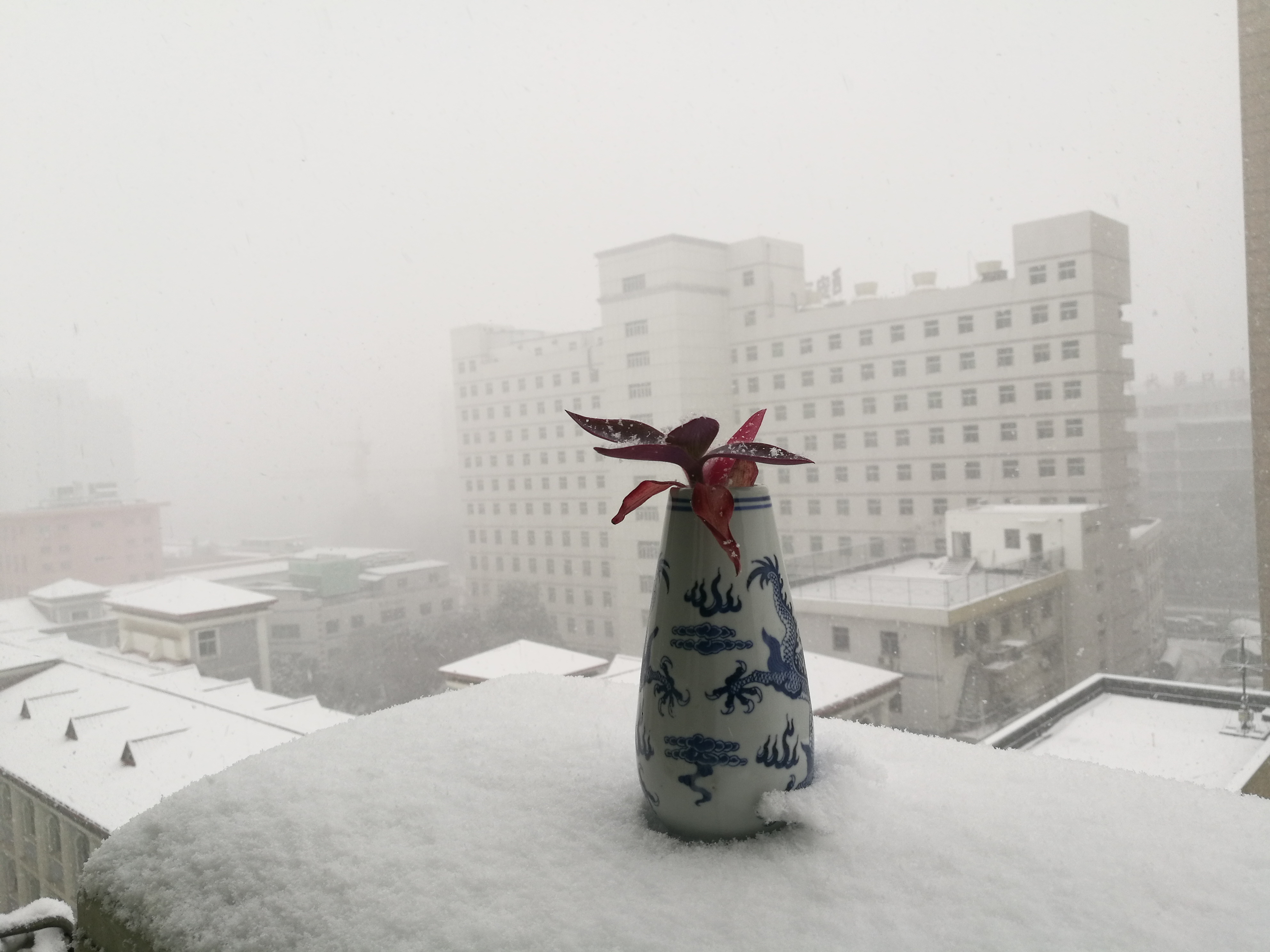 利：莫忘“禾”字旁边一把刀/孔明