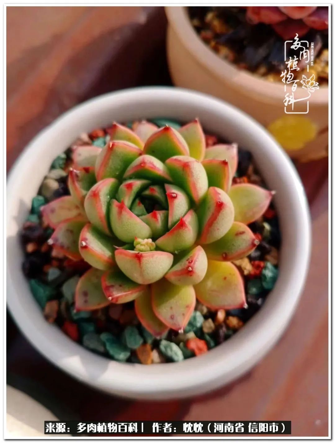 携一人白首择一城终老心之向往,携一人之手择一城终老图片