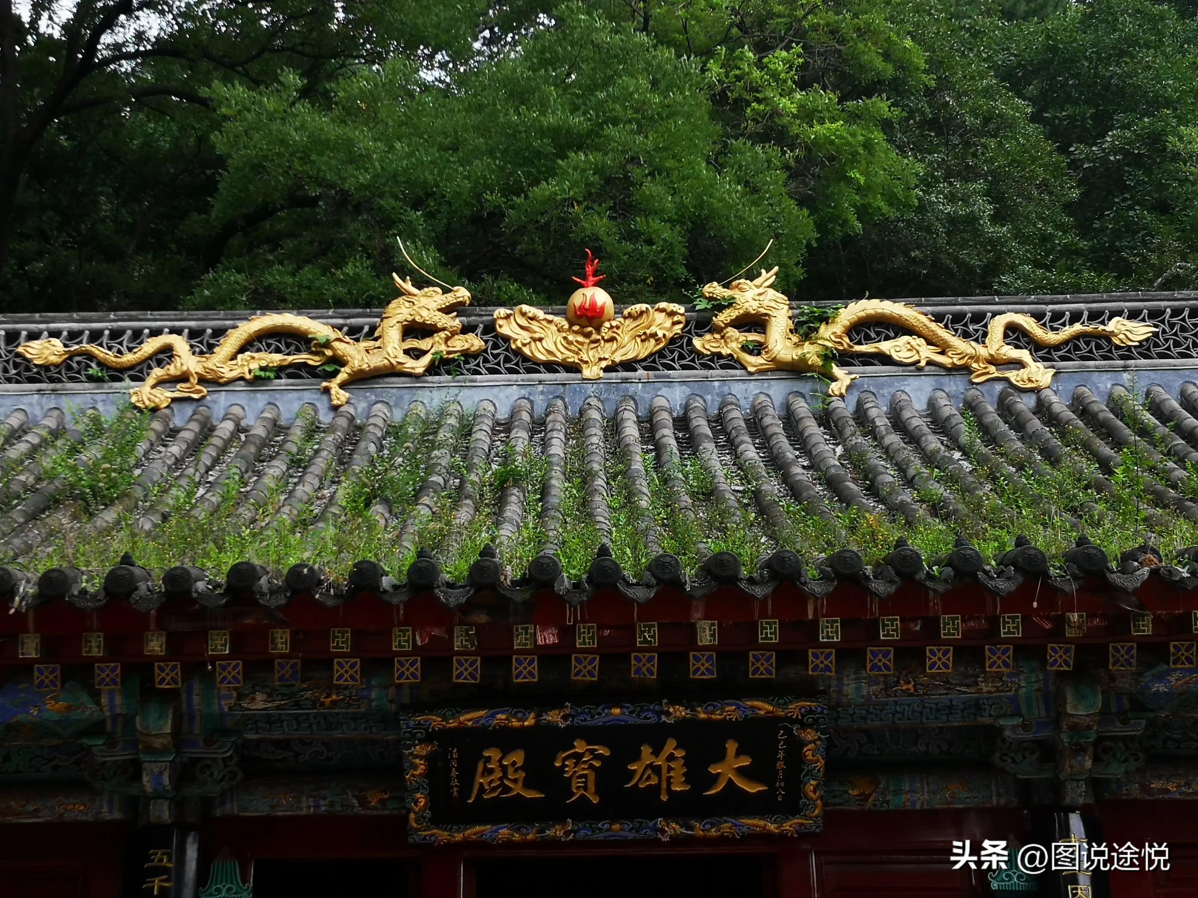 康熙时期皇家寺院,康熙王朝康熙得了天花片段