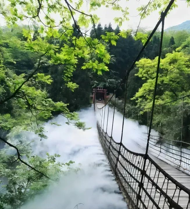 六月一起去邛崃逛古镇看云海日出共赴萤火虫之约