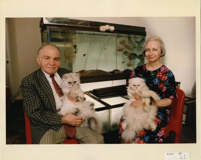 丁克家庭晚年现状,丁克晚年生活状况