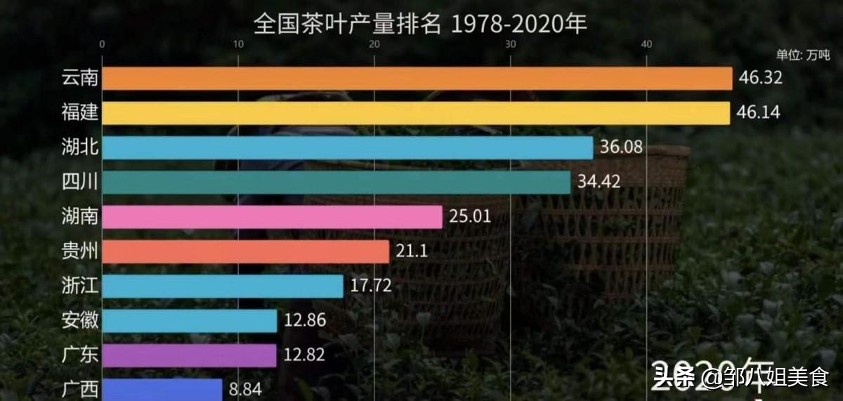 四川人的口粮茶,四川口粮茶