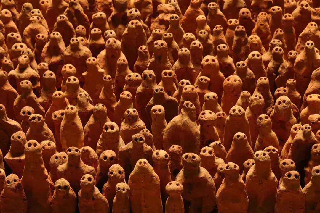 最高级的素质,顶级身体形态