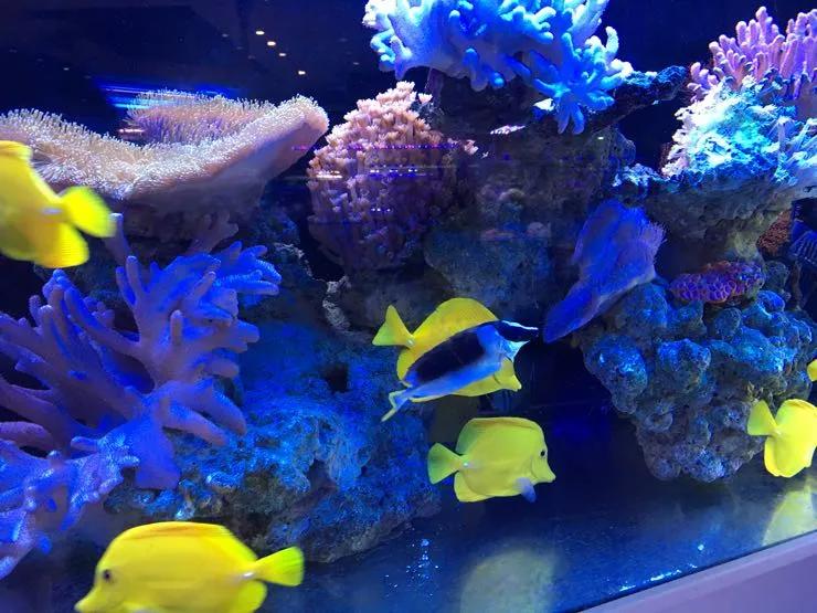 海底奇妙世界图片,海底世界的图片