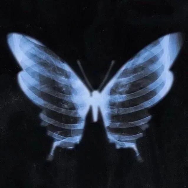 ins风黑色系女头,ins风黑色系美甲