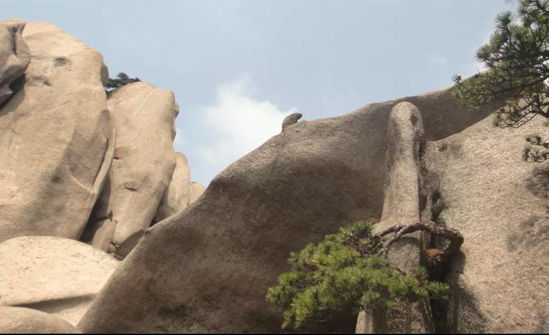 游天柱山要多长时间,游天柱山日记800字