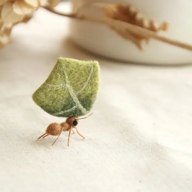 奇形怪状的羊毛毡,奇形怪状羊毛毡