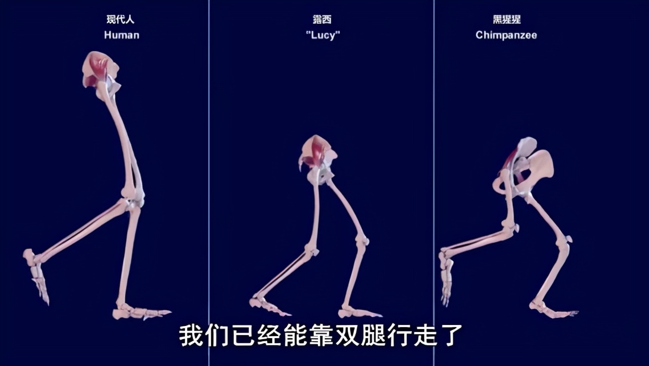 小伙体验生孩子疼痛30级,男人被女友逼生孩子