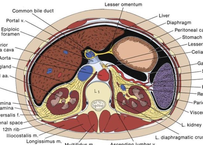 钝性闭合性肾损伤的诊治策略