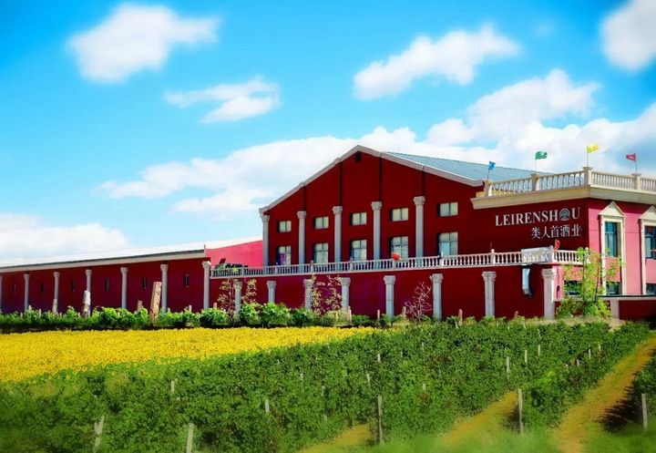 国产葡萄酒哪种比较实惠又好喝,国产葡萄酒性价比最高的一款