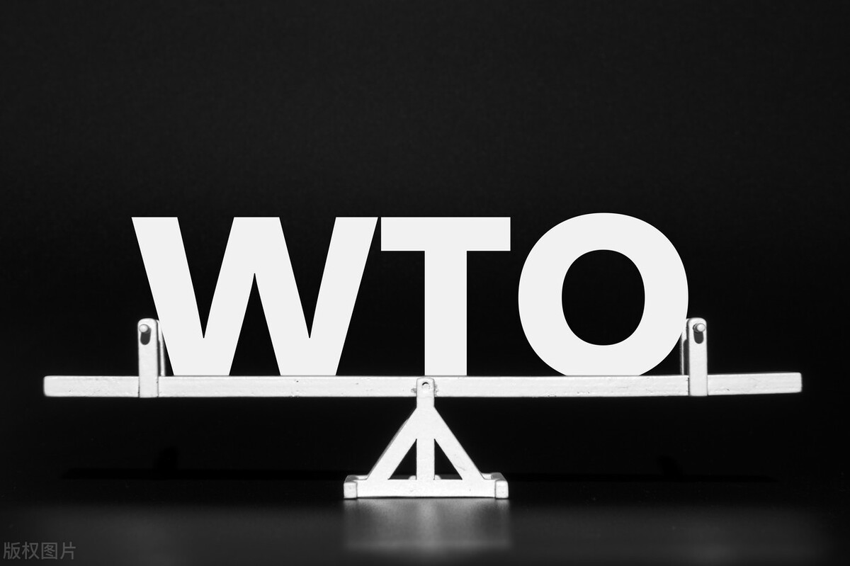 2014年WTO*土稀**争端：中国败诉，美国赢了官司，为何输了战略？