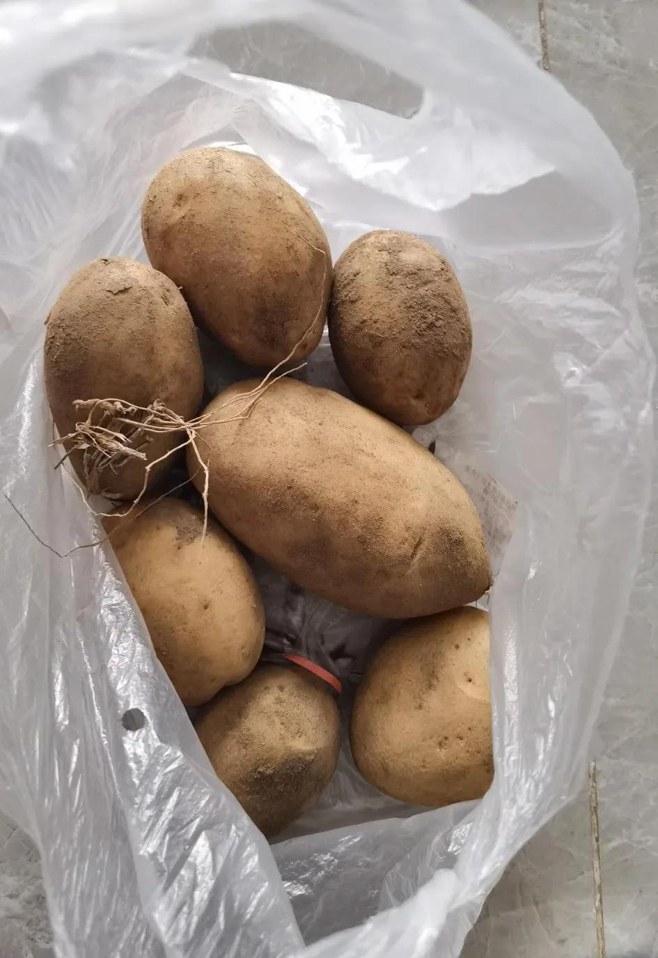 多多买菜的肉靠谱吗,多多买菜真的靠谱吗