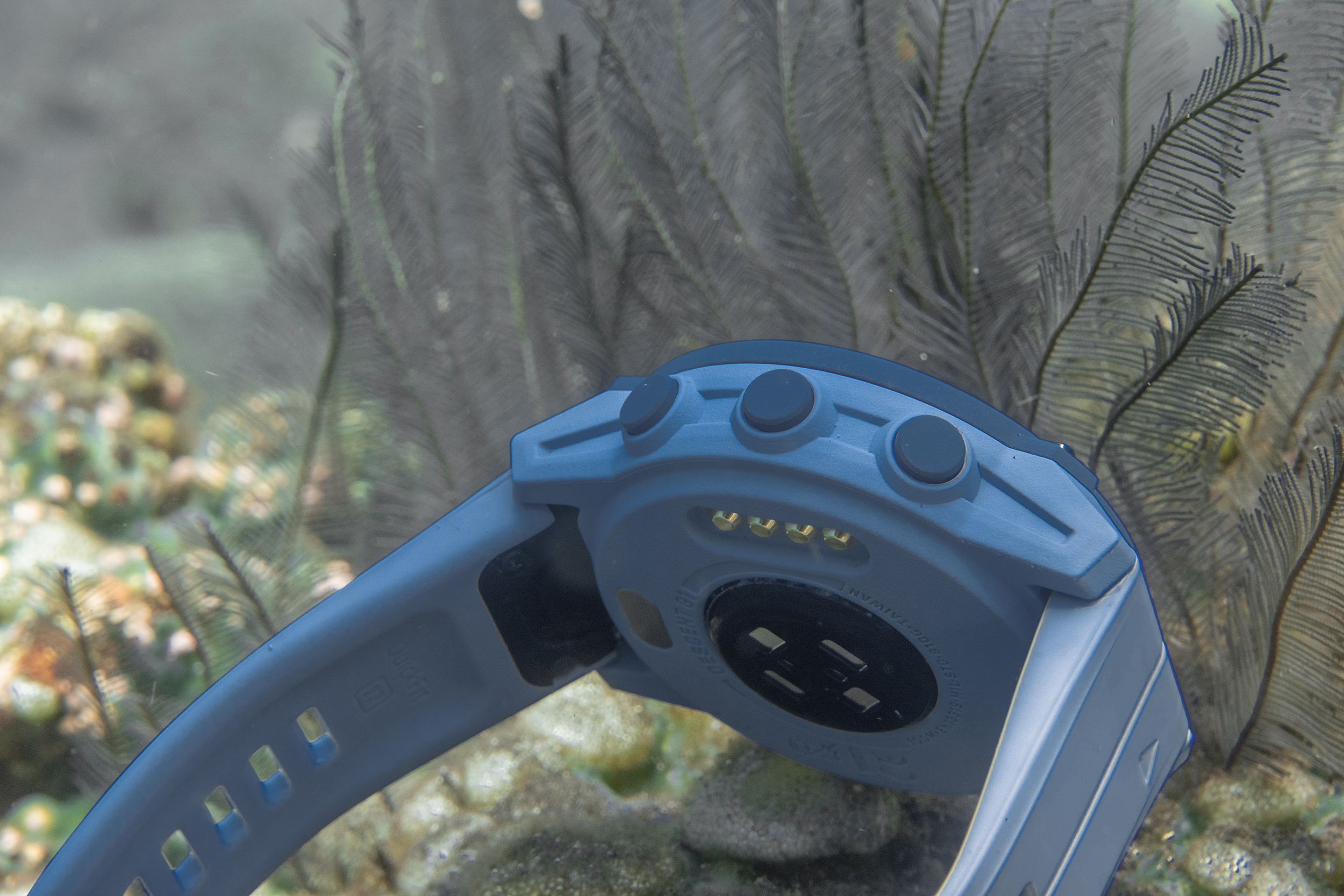 用GPS记录我的潜水生活--佳明DescentG1太阳能潜水电脑使用体验