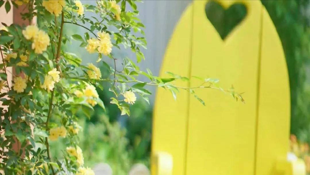 2022让你变好的10件事,33条让你每天优秀的小习惯