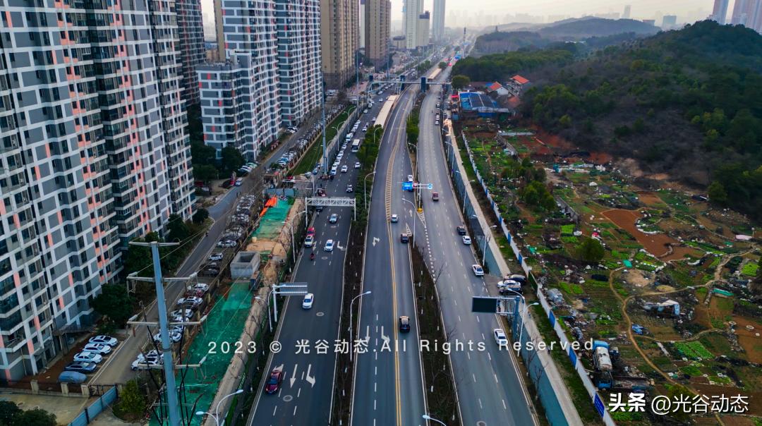 关山大道到软件园,关山大道到东湖磨山