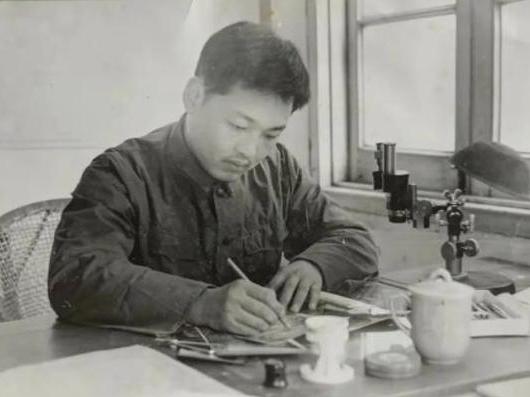 没想到这次分别竟是永别,没想到这次分开就是永别