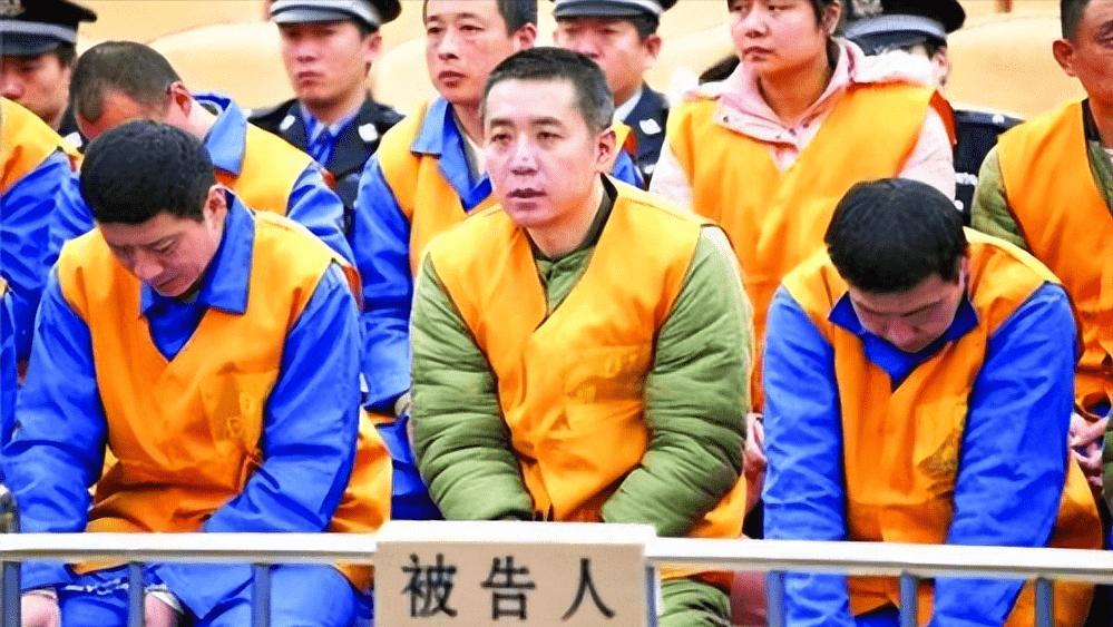 山东土皇帝事件,山东聂磊团伙被打掉几个人