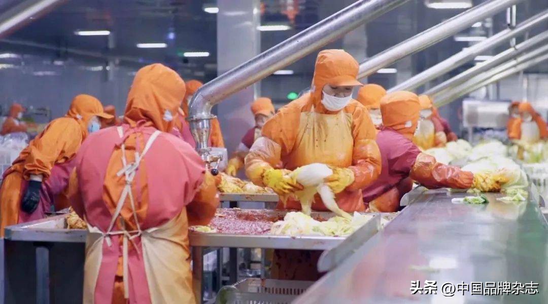 山东韩国泡菜小镇,韩国人吃泡菜的无奈