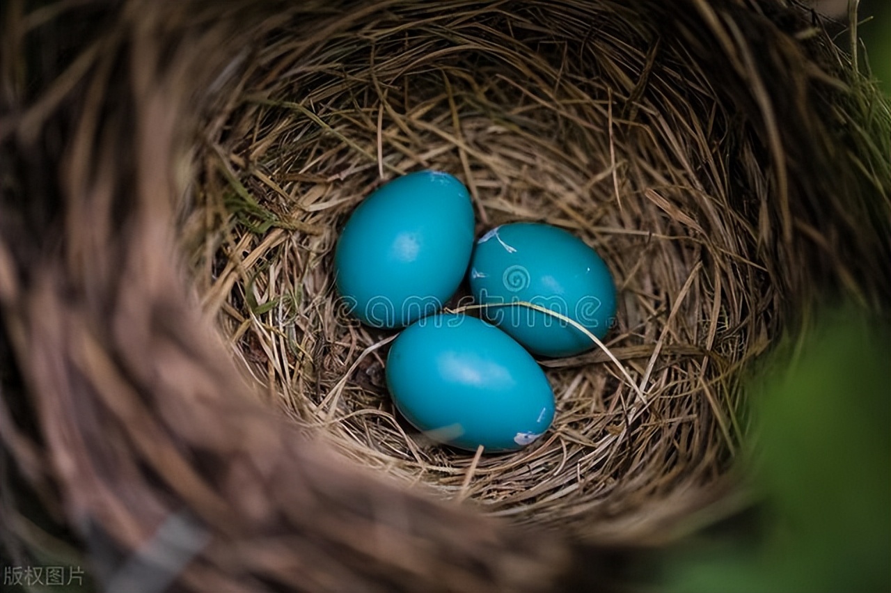 她冲我啵儿了一下,亲爱的,别紧张,就是聚聚,大家也想你