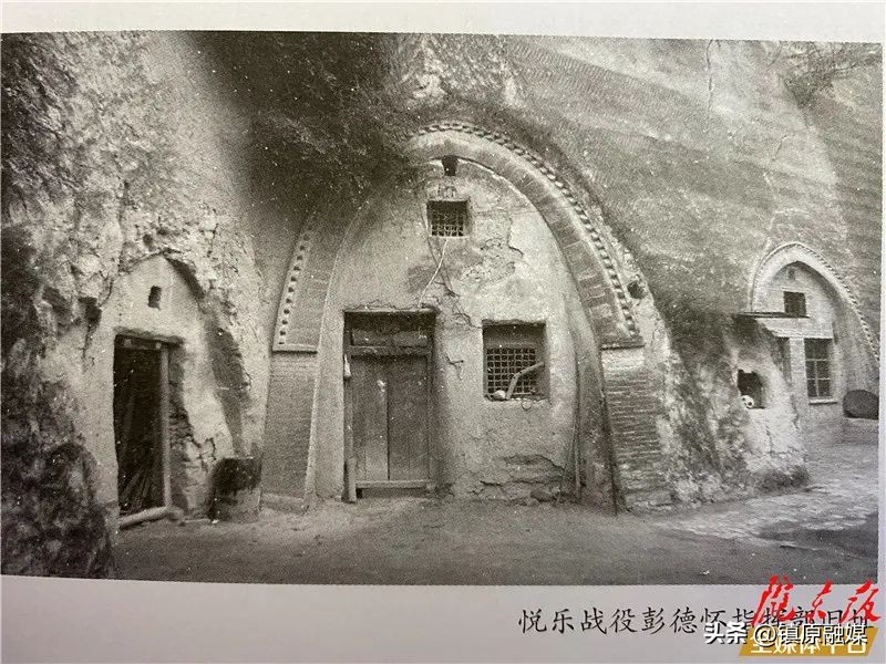 非常眼丨西野纵横战悦乐