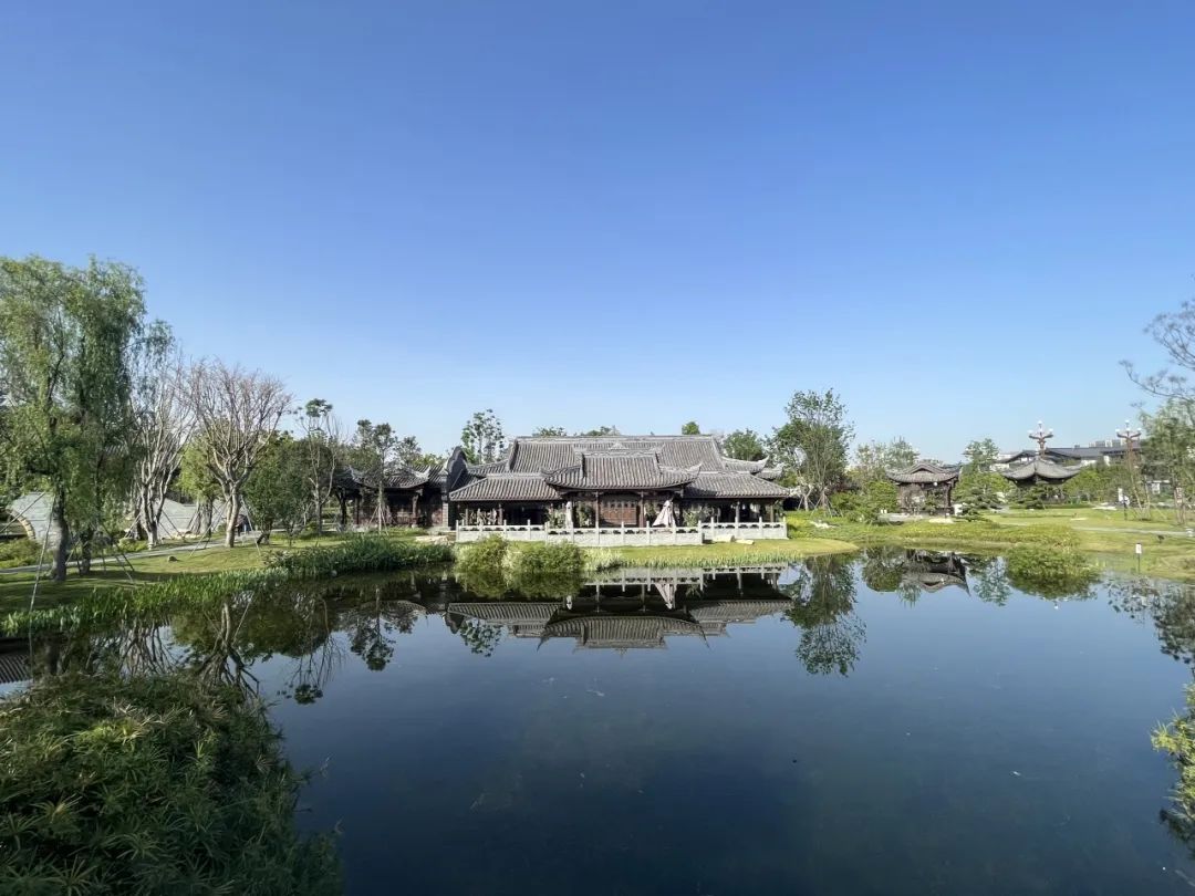 金牛区活动轨迹,金牛区工会单身联谊活动