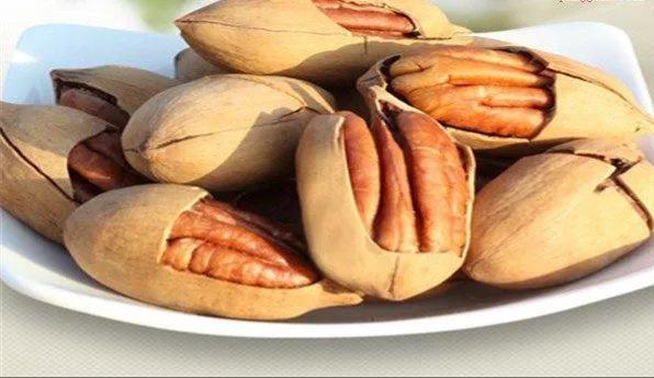 碧根果什么树的果实,开心果碧根果是什么树的果实