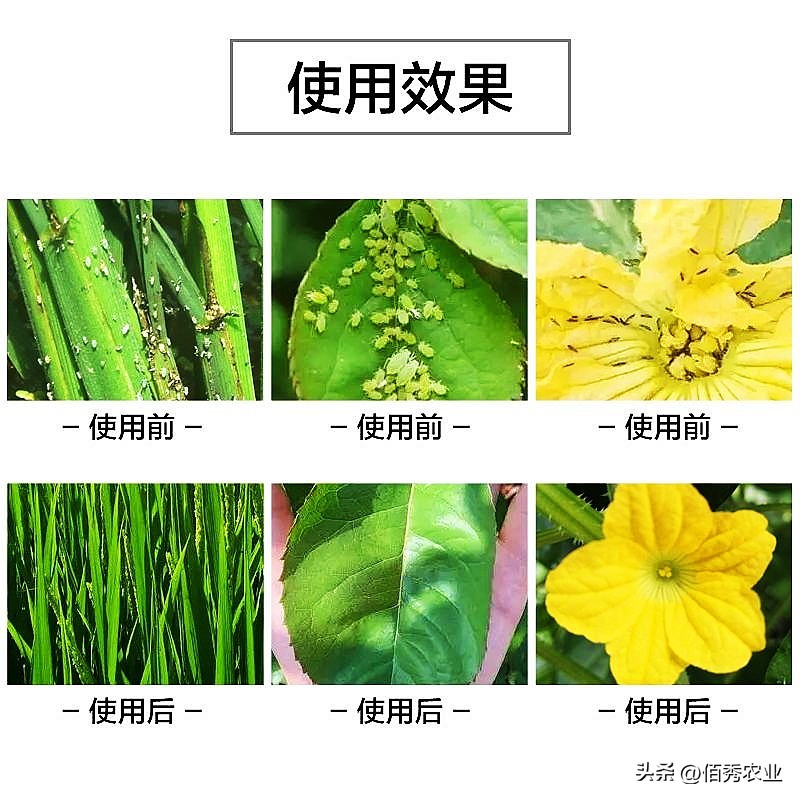 噻虫嗪是广谱杀虫剂吗,比噻虫嗪还好的杀虫剂