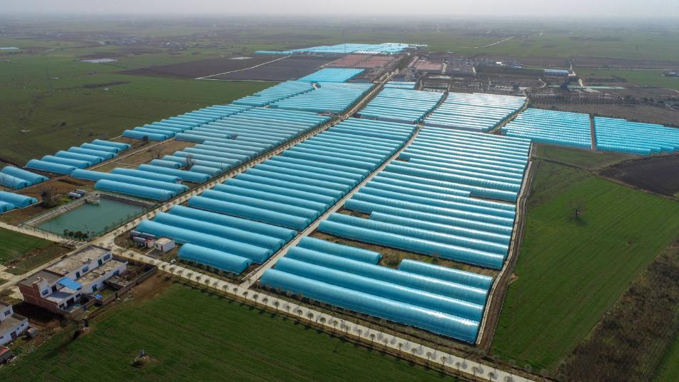 美丽邹庄“乐”翻了!