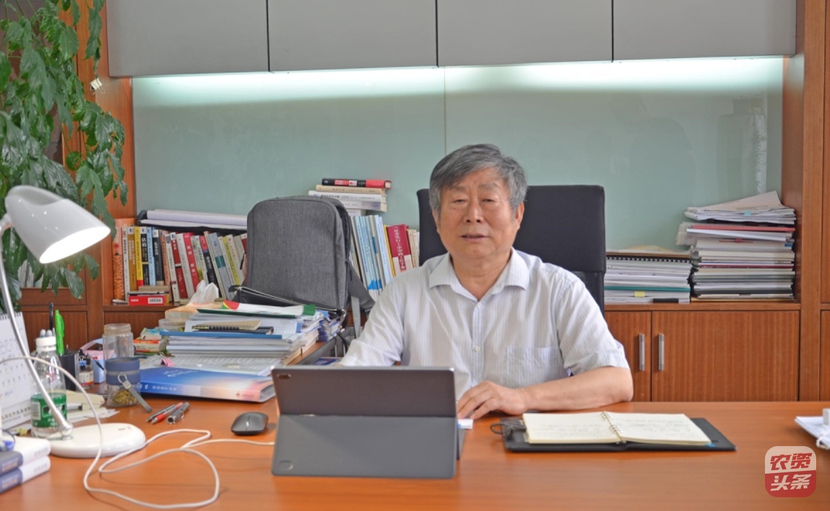 国光股份：国内植调剂领航者，向百年奋战！