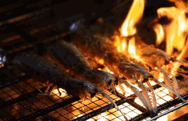 中国哪里可以吃超大皮皮虾,中国吃皮皮虾最好的地方