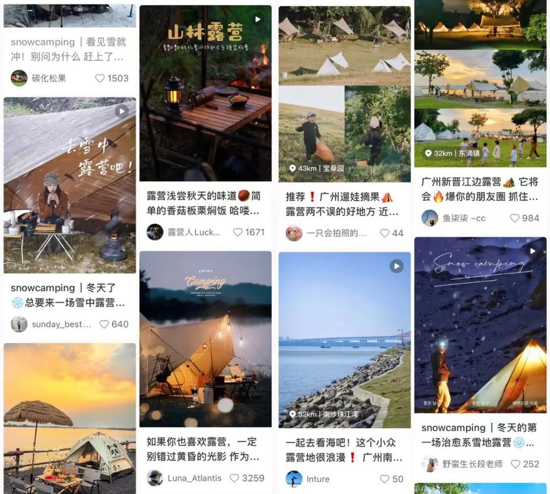 娣樺疂鍗佸ぇ瀹濊礉,娣樺疂骞村害鍗佸ぇ鍟嗗搧