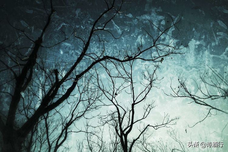 “昔人已乘黄鹤去”，继忠已经离开我们整整一年了