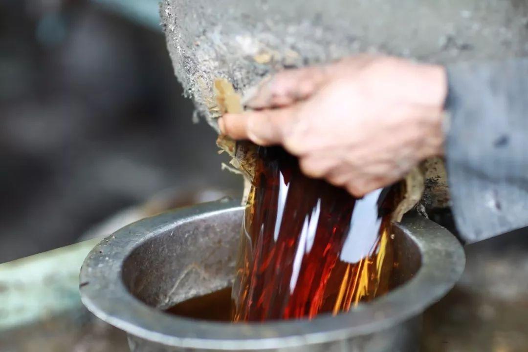 高度酒泡蛇几年后蛇会死吗,用蛇泡酒蛇又活了