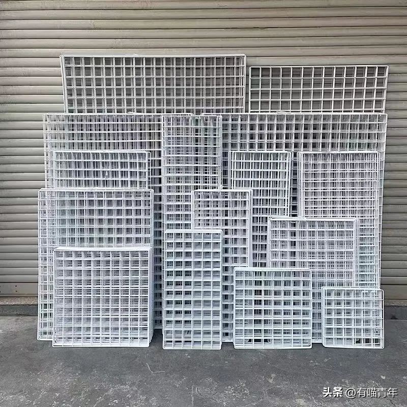 养猫省钱妙招排毛球,养猫不掉毛妙招有哪些方法