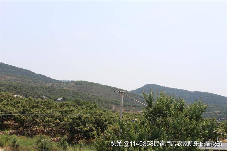 天津蓟州八仙山山间小院农家院,天津蓟县黄崖关农家小院