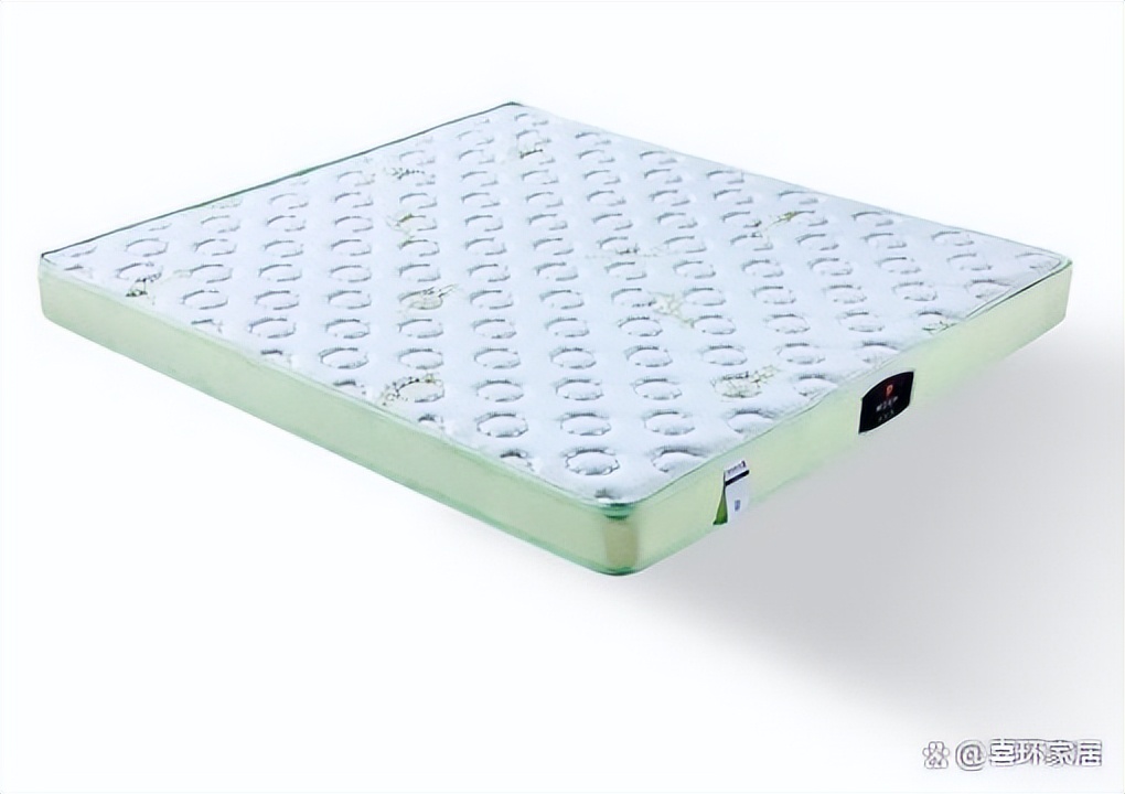 (科普知识)怎么消灭床垫里的虫子