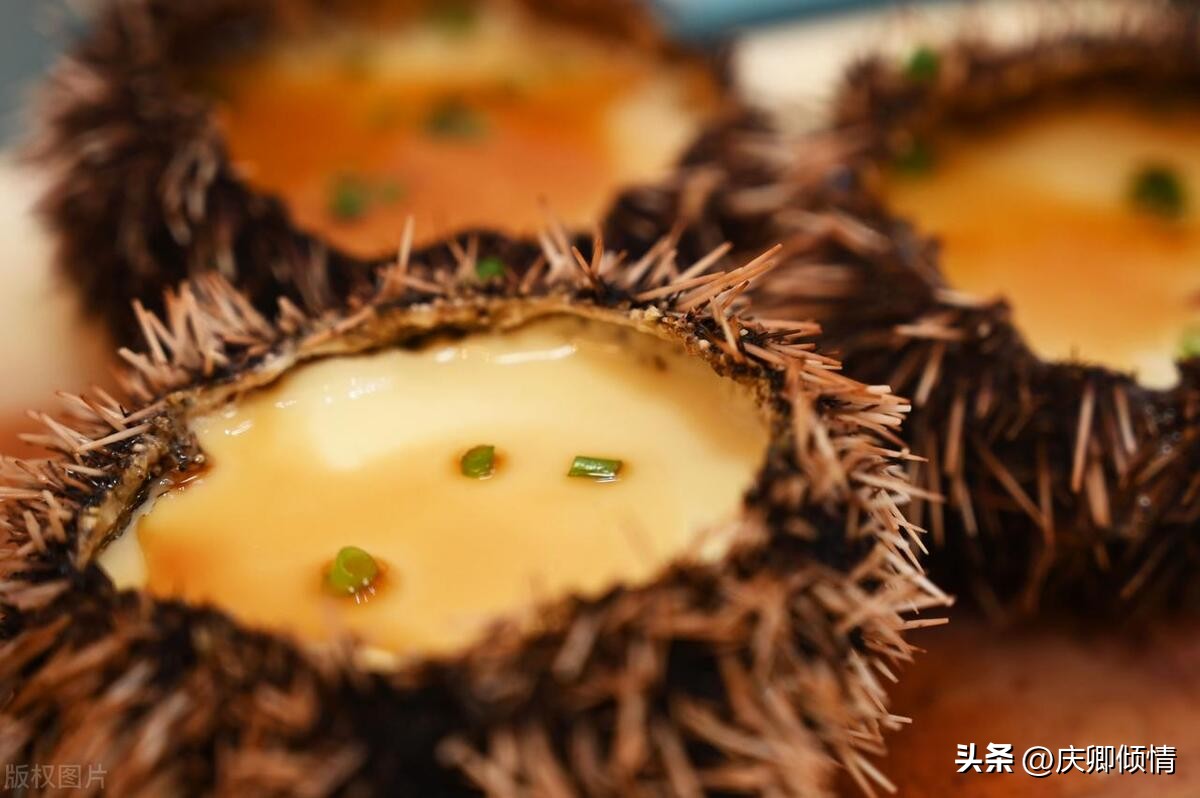 从武汉到海南自驾游攻略,海南三亚自驾游旅游攻略