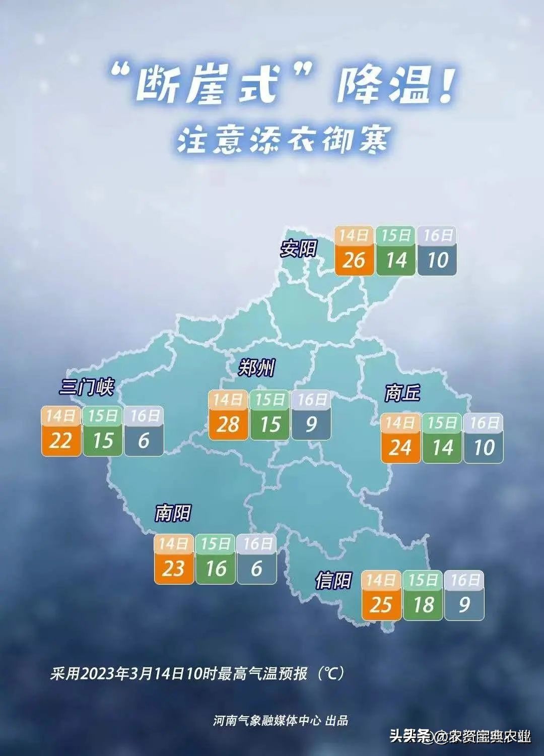 河南小麦受灾为啥发芽,河南连日阴雨小麦倒伏发芽发霉