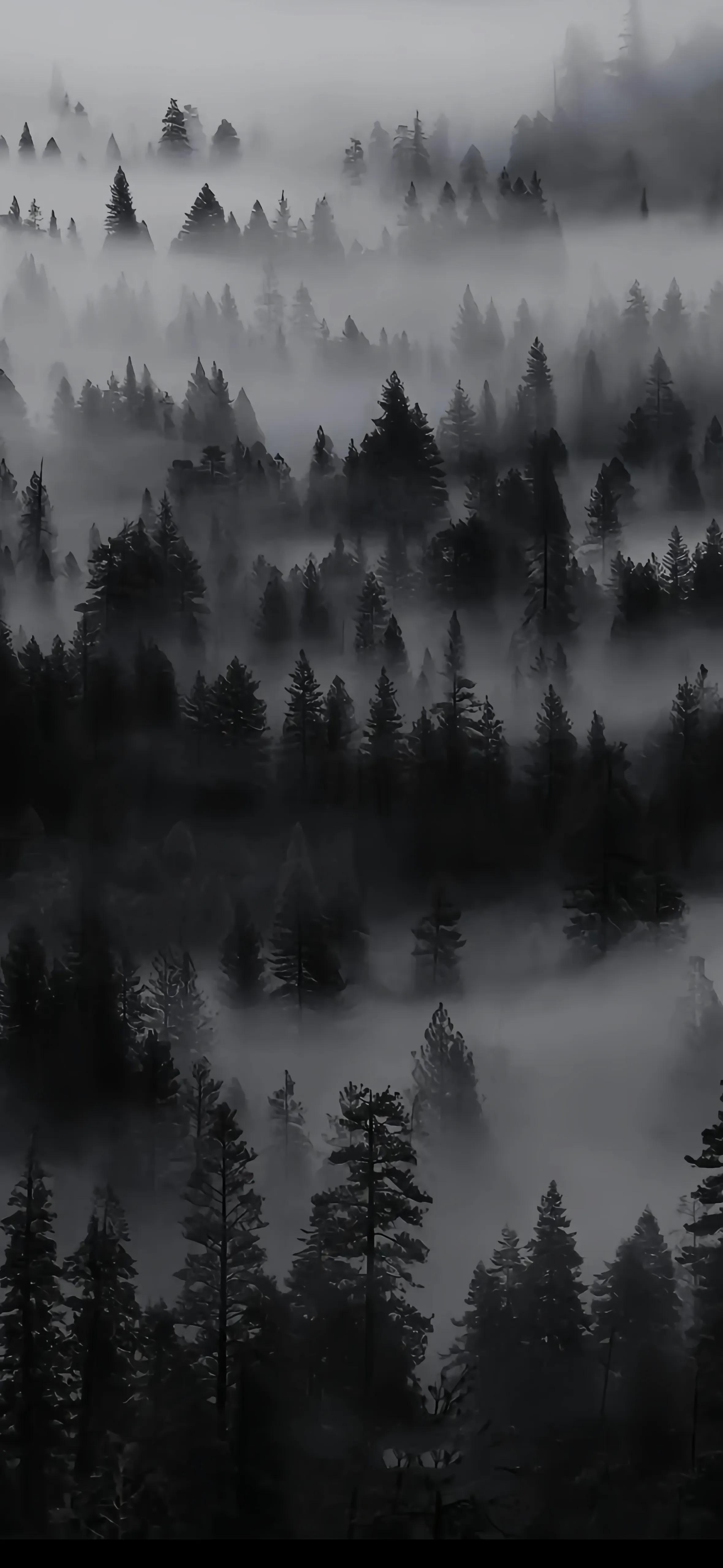 暗黑系壁纸高清横屏,暗黑系景深模式壁纸