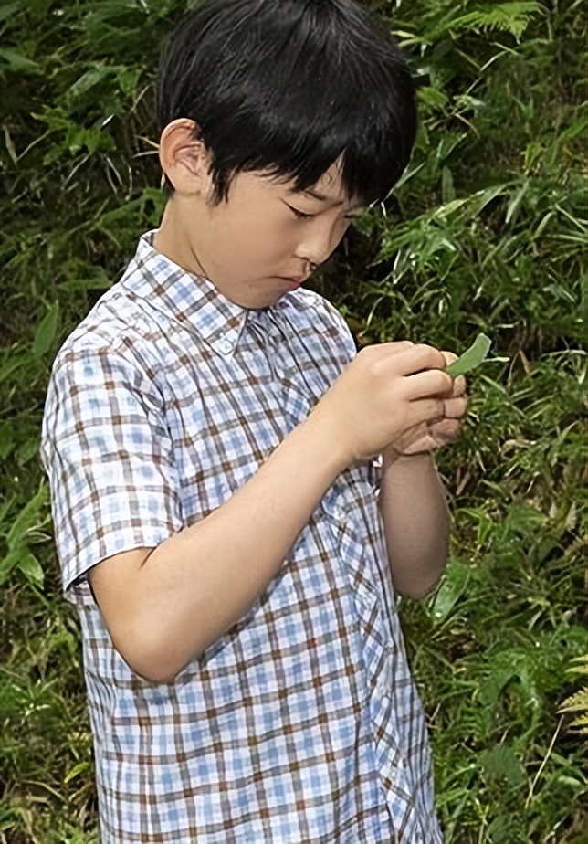 皇孙悠仁亲王,悠仁亲王十七岁