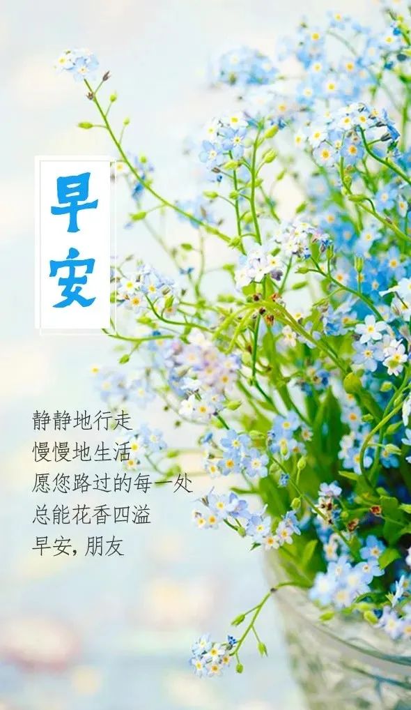 早安经典语录图文,新的一周早安正能量句子图文