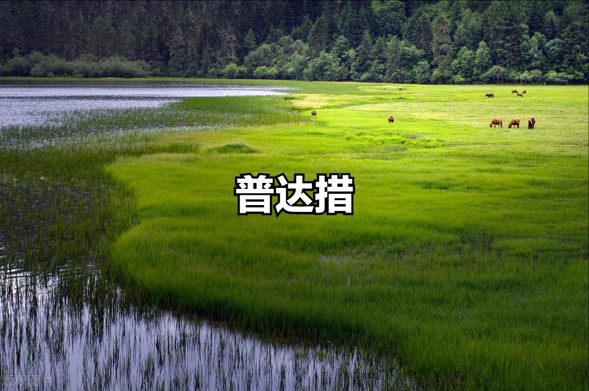 香格里拉旅行团旅游路线,云南香格里拉必去景点攻略怎么玩