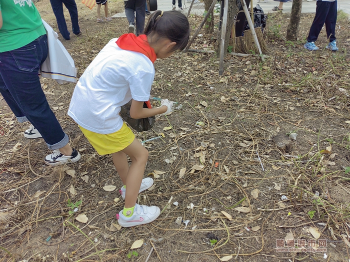 大良红岗开展水质研习活动，40对亲子家庭一起美岸
