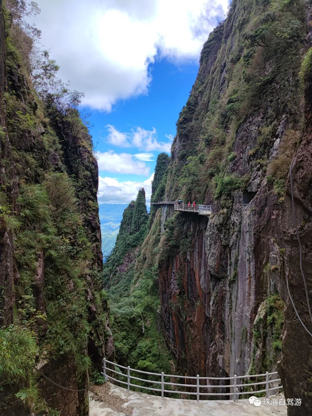 莽山五指峰景区,蟒山国家森林公园旅游攻略