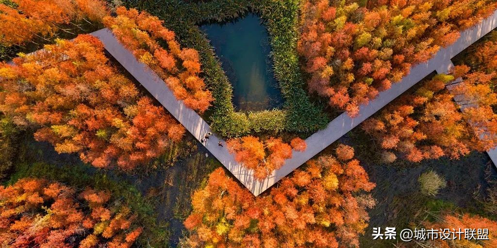 城市景观道路设计,城市景观道路结构