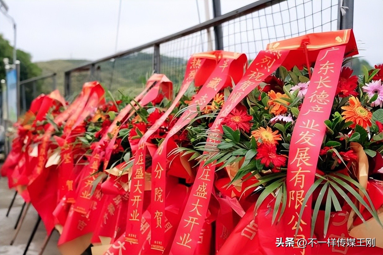 在东莞享顺德美食，记顺德坚野山庄第二分店正式开业