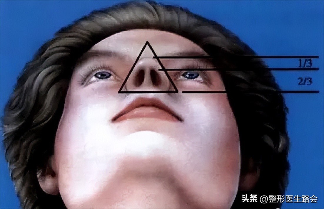 鼻部美学四个关键角度,鼻部美学标准图解