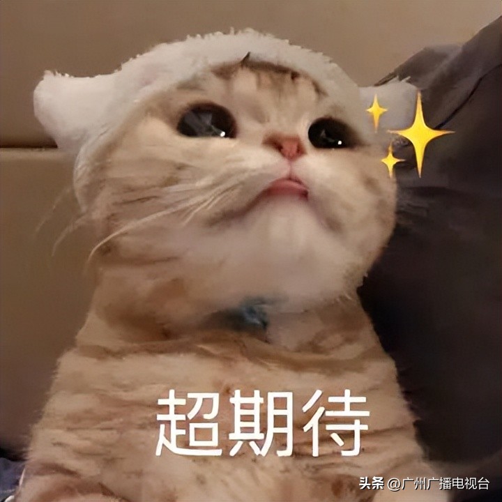 休渔期到了吗,开渔期的广东海鲜市场