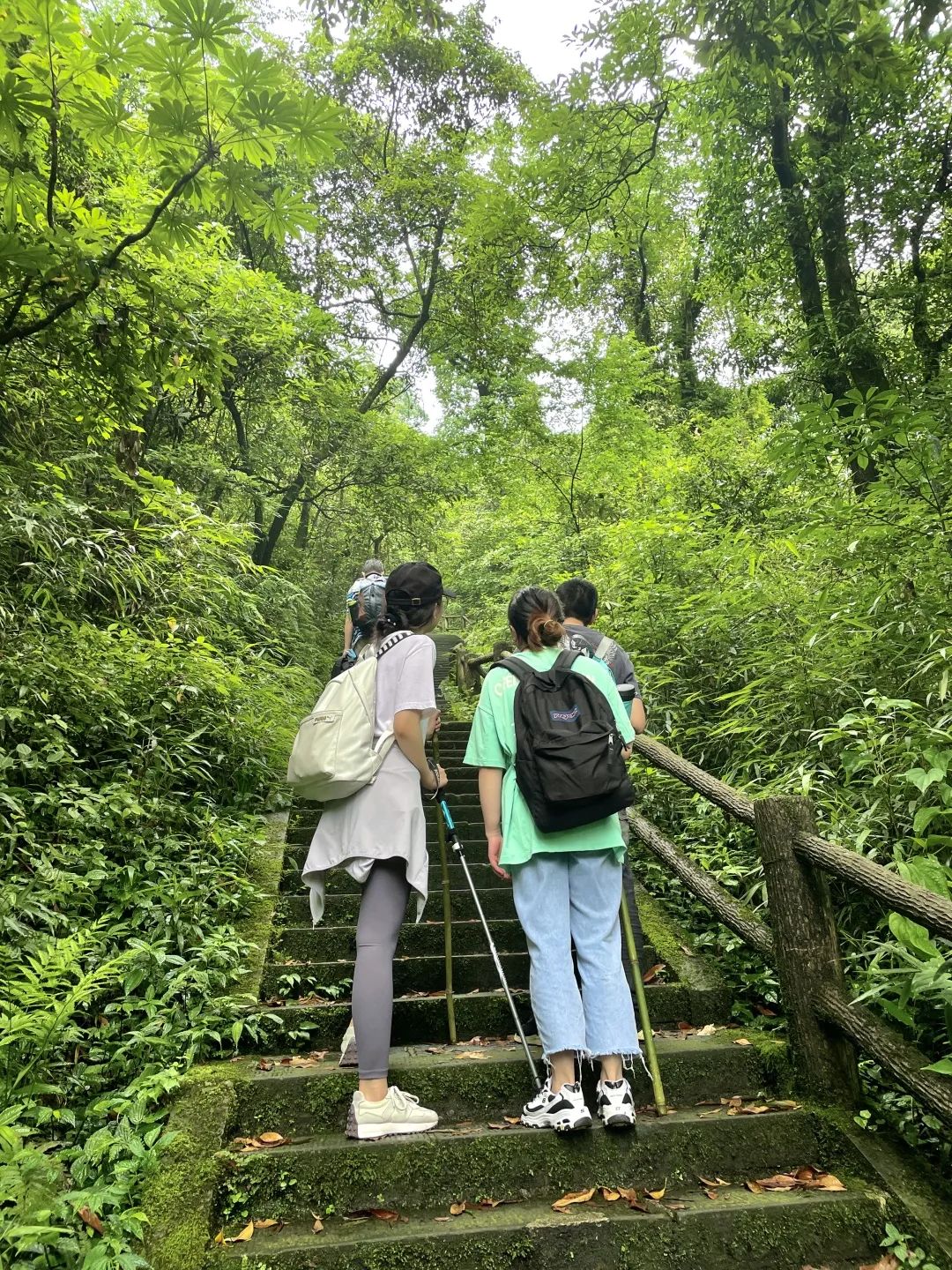 峨眉山一日徒步攻略,峨眉山徒步3天2夜攻略上下山